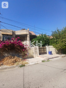 VIP House image 3