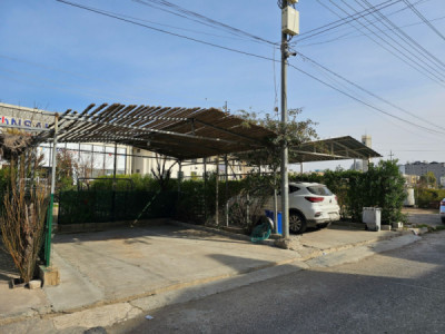 House Opposite Garden Image 16