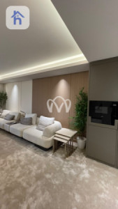 شقة VIP صورة 4