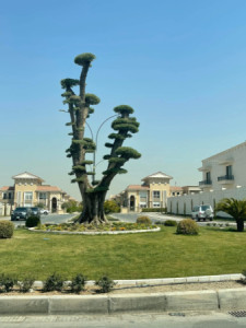 Corner House Image 6