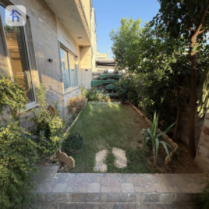 خانووی ڕاخراو بۆ فرۆشتن image 2