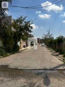 خانووی ڕوکن image 3