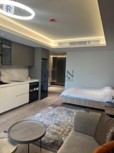 Cozy Furnished Apartment with City Views Image 4