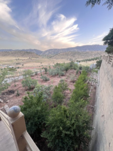 مزرعة مع منزل (1 دونم) image 16