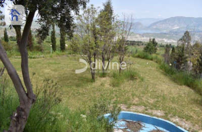 Investment Opportunity with Swimming Pools Image 19