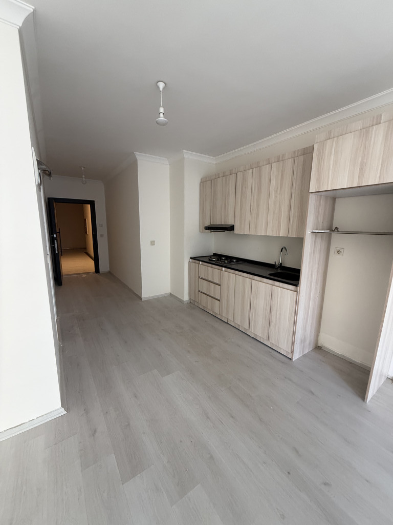Modern one-bedroom apartment for rent