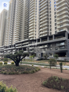 دەرفەتی کرێی بازرگانی لوکس وێنە 3