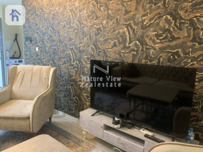 Furnished Apartment For Rent image 2