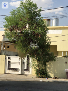 خانووی یەک نهۆمی image 2