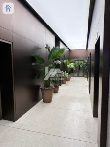 Apartment in Cash Image 20