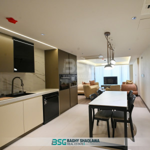 VIP Apartment image 4