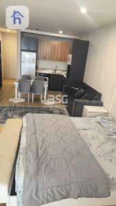 Furnished Apartment in Erbil image 1