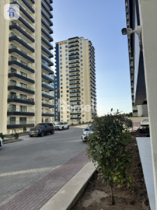 New Apartment For Rent — 1