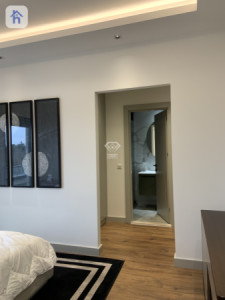 Luxury Apartment Image 5