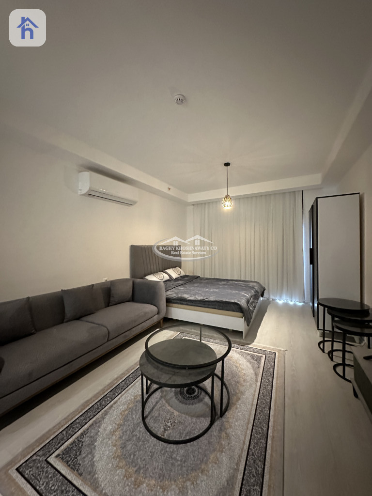 Furnished Apartment For Rent