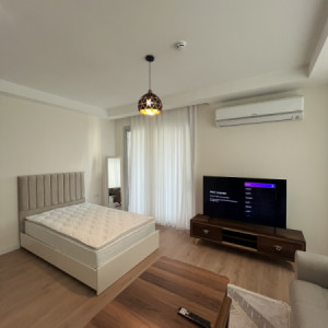 Furnished Apartment For Rent Image 5
