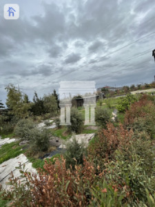 Charming Farmhouse in Peaceful Area Image 6