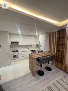 Chic Furnished Apartment in Wow Tower Resim 5