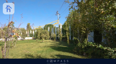 VIP Farm image 11