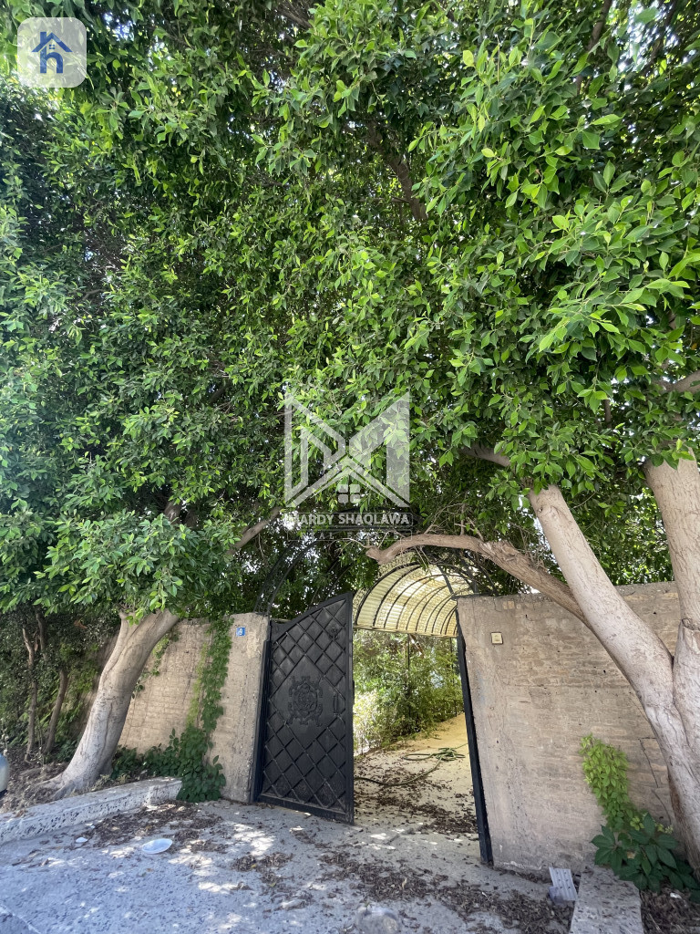 Spacious House in Prime Location