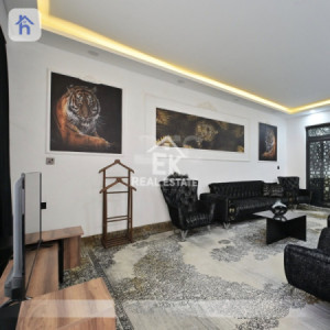Modern House Resim 4