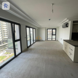 Spacious Apartment in Rami Towers image 3