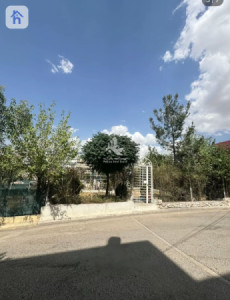 House Opposite Garden image 2