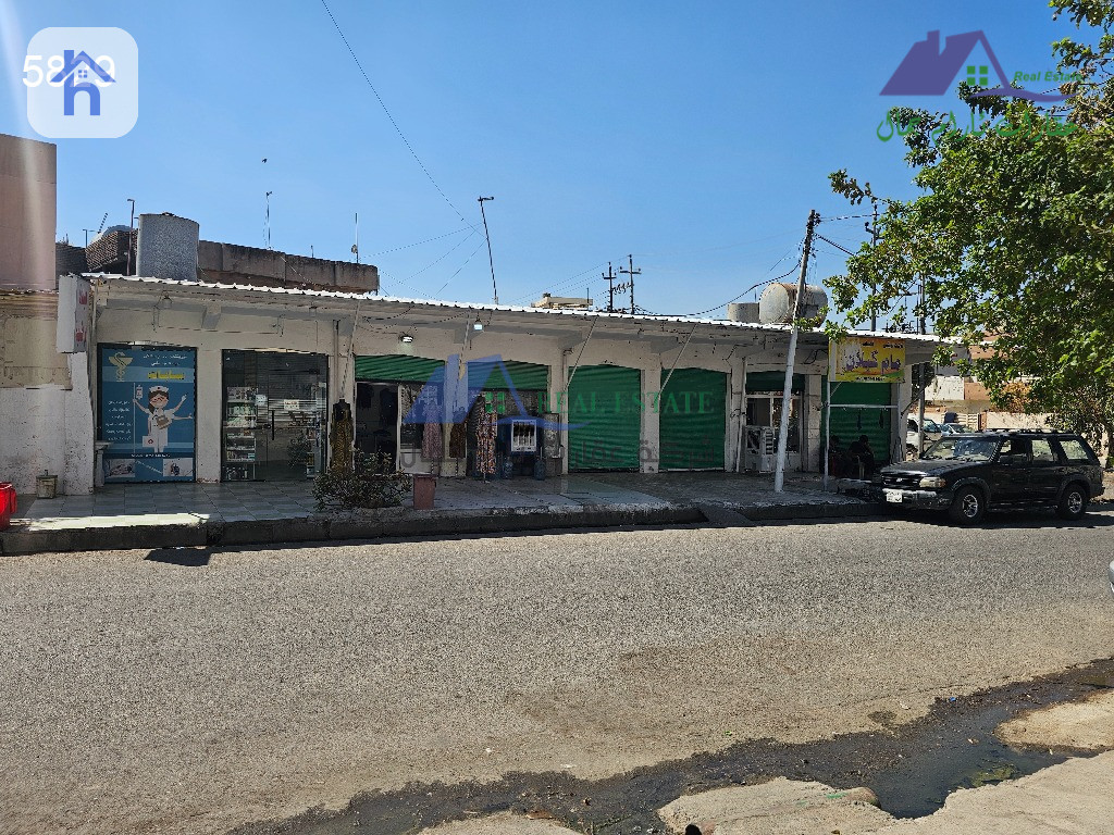 موڵکێکی بازرگانی لە هەولێر، مامۆستایان 2