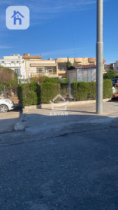 House Opposite Garden image 14