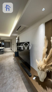 شقة VIP صورة 15