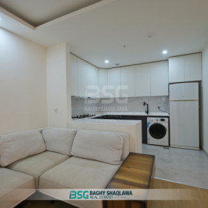 Furnished Apartment For Rent image 2