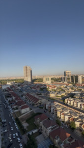 جوانترین دیمەن لە ڕامی تاوەرەوە بۆ کرێ — 1