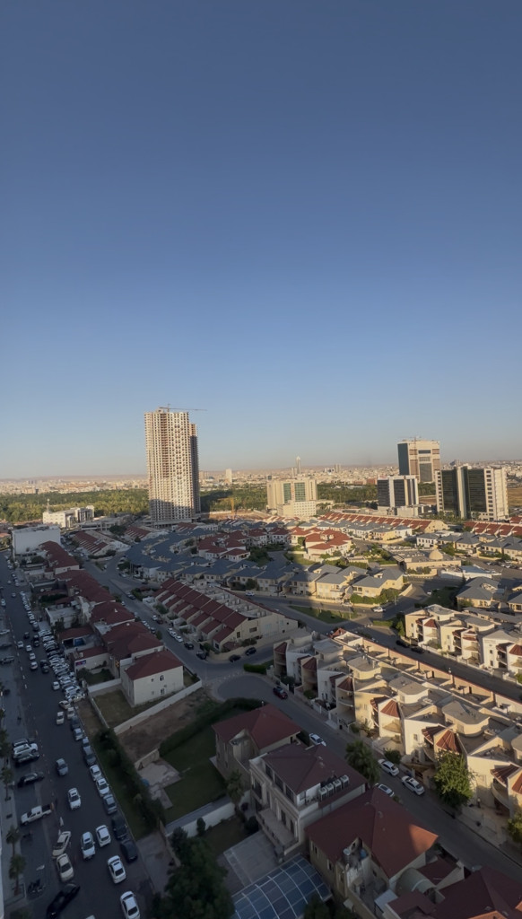 جوانترین دیمەن لە ڕامی تاوەرەوە بۆ کرێ