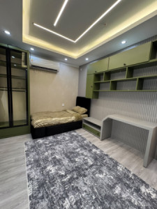 VIP Apartment image 6