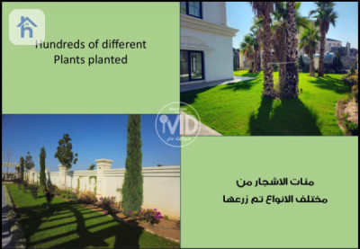 ڤێلای لوکس لەگەڵ ناوچەی سەوز وێنە 6