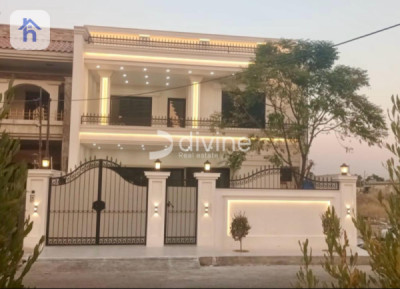 House Opposite Garden image 1