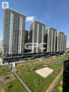 Spacious Apartment in Rami Towers image 1