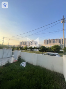 House Opposite Garden image 6