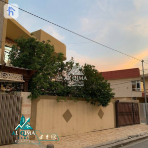 Corner House image 2