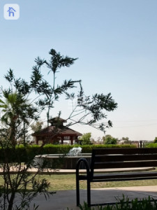 House Opposite Garden image 6