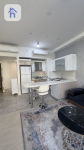 Furnished Apartment For Rent image 7