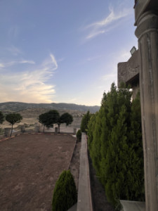 مزرعة مع منزل (1 دونم) صورة 9
