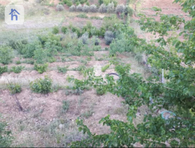 Farm (2500m²) image 10