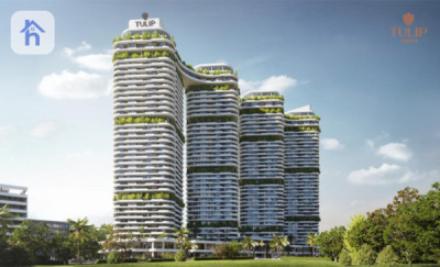 Duplex Apartment in Tulip Towers image 2