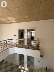 House Opposite Garden image 11