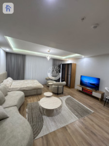 Studio Apartment image 4