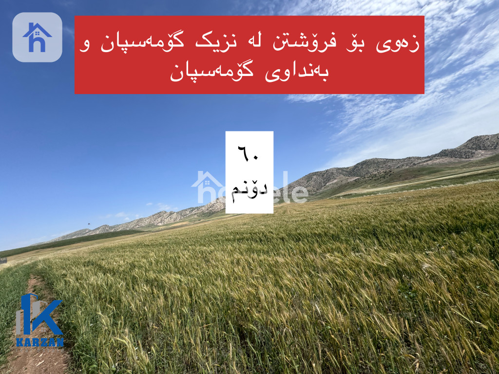 زەوی کشتوکاڵی (150000م²)
