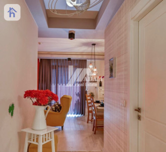 شوقەی ڕاخراو وێنە 14