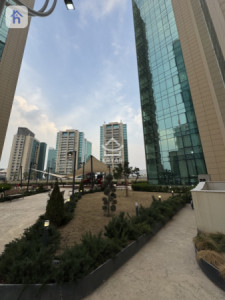 شوقەیەکی ئارام لە ئیمپایەر وینگز image 3