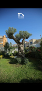 VIP House image 18
